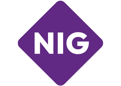 NIG logo